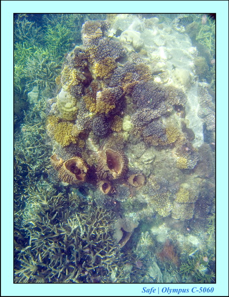2008 - 07 - Perhentian - 090